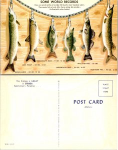 Some World Records The Fishing is Great in Canada Sportsman's Paradise (11696)