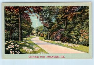Greetings from ROANOKE, Illinois IL ~ Woodford County ca 1940s Linen Postcard