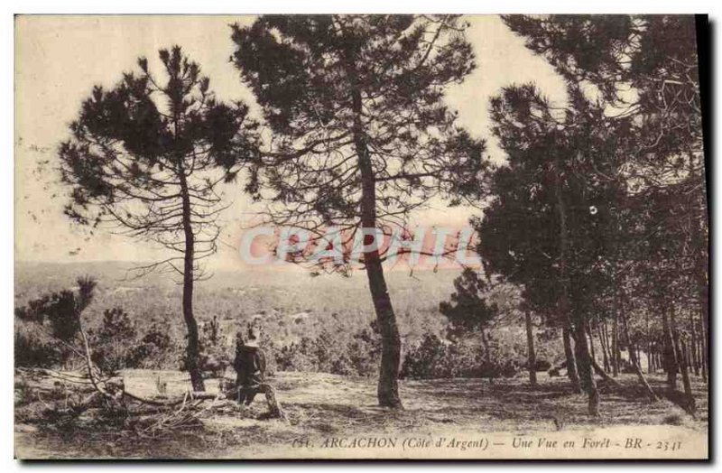 Old Postcard Arcachon A View Foret