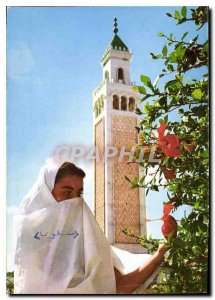 Modern Postcard La Marsa The Minaret