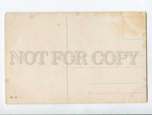 285378 HUNT Hunter POINTER Deer by Graf MULLER Mueller Vintage postcard