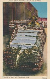 Bales Of Cotton - Ready for Shipment - Tennessee Dept of Conservation - Linen