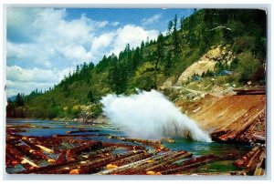 1950 Scenic View Of Log Pond Trees Lewiston Idaho ID Posted Vintage Postcard