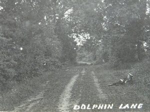 Birmingham ACOCKS GREEN Dolphin Lane c1910 RP Postcard