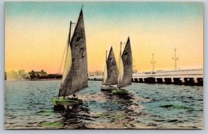 Hand Colored Florida Postcard - Yachting  Boats Atlantic Ocean