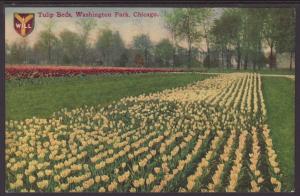 Tulip Beds,Washington Park,Chicago,IL