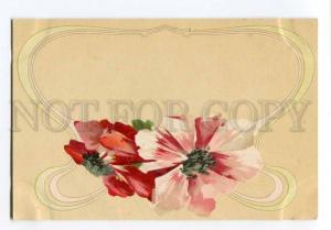 256943 ART NOUVEAU Flowers POPPY by C. KLEIN Vintage PC