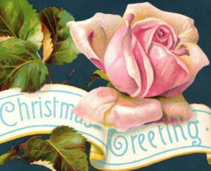 1880s Die-Cut Christmas Greeting Card Poem By Frances Ridley Havergal F191
