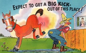 Expect to Get a Big Kick.. Donkey Kicking Man Caomic