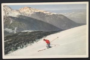 Looking Across Great Gulf from Mt. Washington NH Bromley & Co 1110