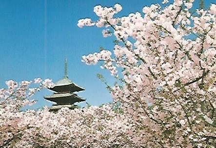 POSTAL 53190: KYOTO. Pagoda del templo de Ninnaji