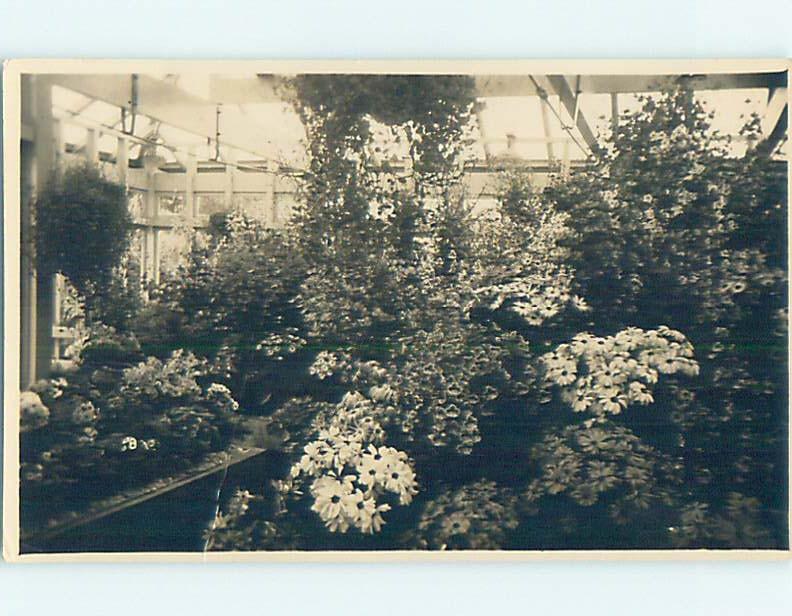 1938 rppc BEGONIA HOUSE Bathurst - Central Tablelands Nsw Australia HM2415