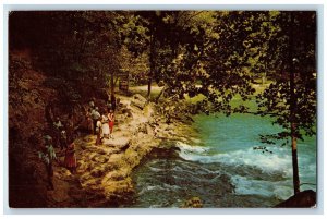 c1960 Scenic View Main Boil Big Spring State Park Van Buren Missouri MO Postcard