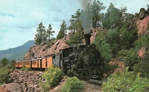 Vintage Postcard D & R.G. Narrow Gage Durango To Silverton Train Railway CO