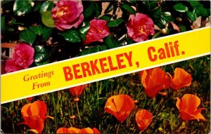 Greetings From Berkely California