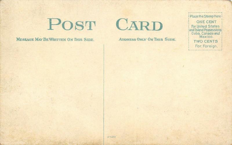 Buffalo New York~Gates Circle Fountain~Men on Steps~1908 Postcard