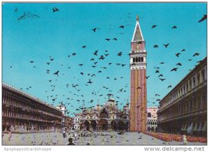 Italy Venezia St Mark's Square Flight Of Pigeons 1957