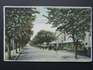 Somerset MINEHEAD The Avenue c1905 Old Postcard