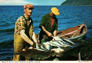 CONTINENTAL SIZE POSTCARD MONT. ST PIERRE GASPE PROVINCE OF QUEBEC CANADA 1974