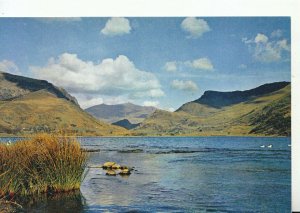 Wales Postcard - Snowdon from Llyn Nantlle - Caernarvonshire - Ref TZ8679