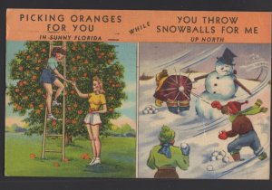 Picking Oranges For You in Sunny Florida - Snowballs For Me North pm1950 ~ Linen