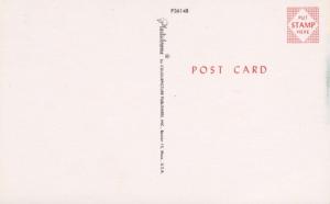 Edmonton AB Alberta Indigenous First Nations People Native Indians Postcard D27