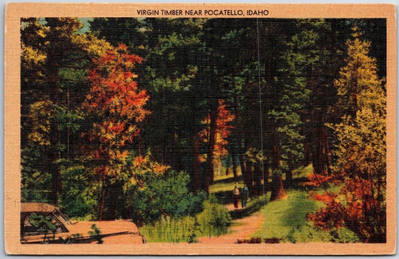 VINTAGE POSTCARD VIRGIN TIMBER NEAR POCATELLO IDAHO MAILED R.P.O. 1947