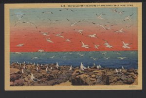 Utah Sea Gulls on the Shore of the Great Salt Lake Bird Island - Linen