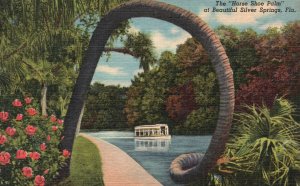Vintage Postcard 1930's The Horse Shoe Palm Tree Silver Springs Florida FL