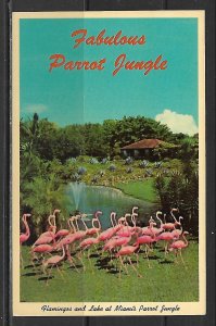 Florida, Miami - Fabulous Parrot Jungle - [FL-669]