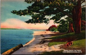 New Hampshire Lake Winepesaukee Beach View Under The Pines 1940