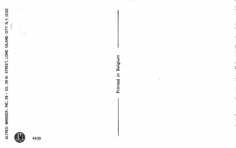 Dressed Cats Christening Baptism Baby Church Mainzer 4939 postcard