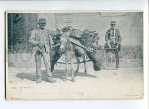 3035143 ITALY Donkey & street sellers Vintage PC