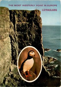 Látrabjarg, Iceland, nature enthusiasts, travelers, puffins Postcard