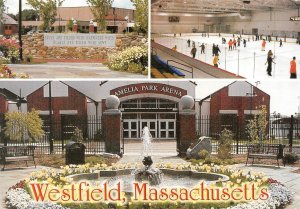 Westfield, MA Massachusetts  AMELIA PARK ARENA Indoor Ice Skating   4X6 Postcard