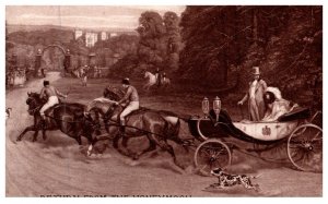 Horse  , Return from the Honeymoon , fancy carriage