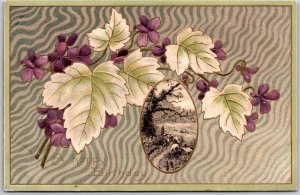 1911 Happy Birthday Greetings Purple Flower Sheeps In Pastures Posted Postcard