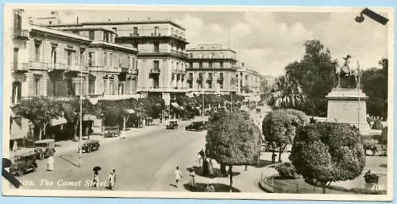 Egypt - Cairo, The Camel Street  *RPPC