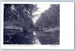 Cedar Falls Iowa IA Postcard Near City Springs Exterior View Lake c1905 Vintage