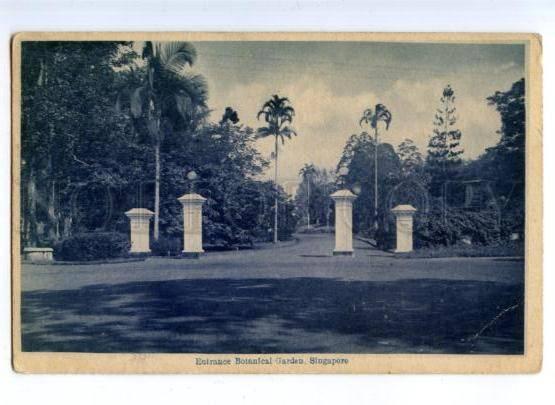 172115 SINGAPORE Entrance Botanical Garden Vintage postcard