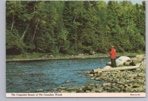 Fly Fishing On A Canadian River, Chrome Postcard