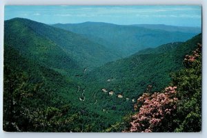 1960 Great Smoky Mountains Tennessee Postcard Transmountain Highway Chimney Tops