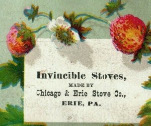 1880s Invincible Stoves Chicago & Erie Stove Co. Flowers  Fab! Lot Of 6 P210