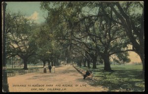 Entrance to Audubon Park and Avenue of Live Oak, New Orleans, LA. Vintage card