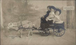 Studebaker Toy Wagon Co South Bend IN Goat & Kids Real Photo Postcard