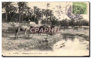 Old Postcard Gabes chaneaux the Edge I & # 39Oasis Tunisia