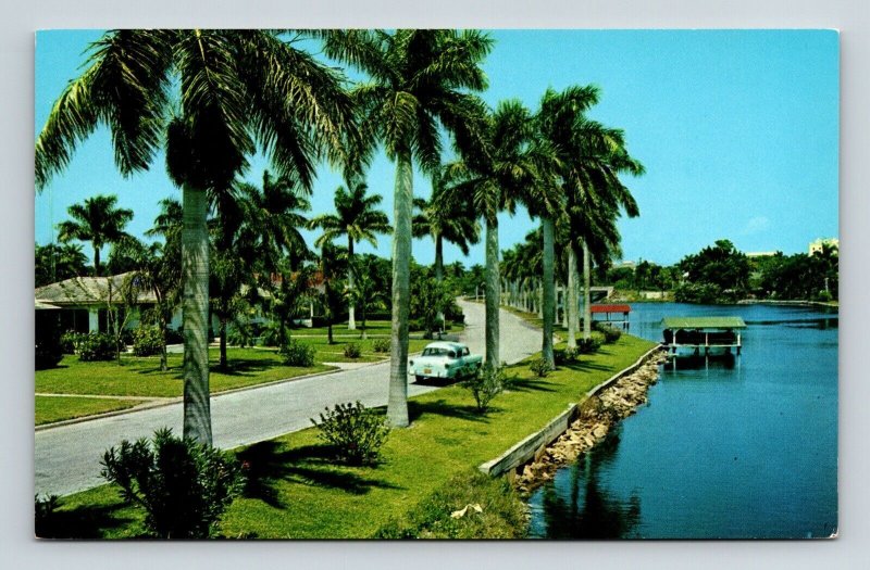 Tropical Florida Palm Trees Lake Reflections Old Car Dock UNP Vintage Postcard 