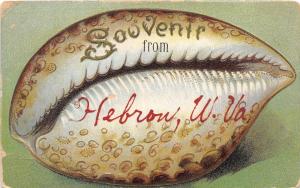 A71/ Hebron West Virginia WV Postcard 1909 Souvenir Greetings from Hebron Shell