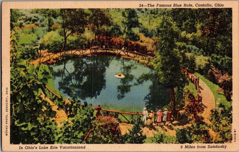 Aerial View of The Blue Hole, Castalia OH Vintage Postcard K75 