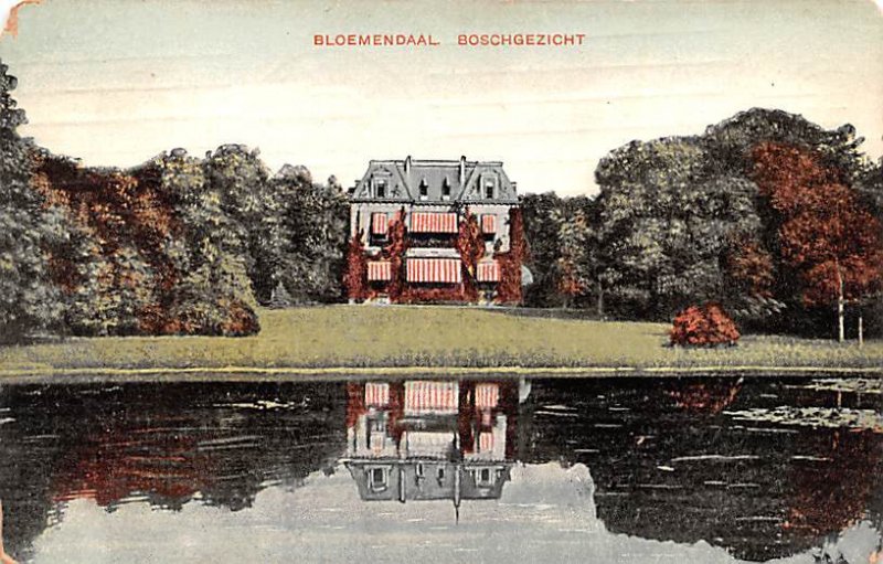 Boschgezicht Bloemendaal Holland 1909 